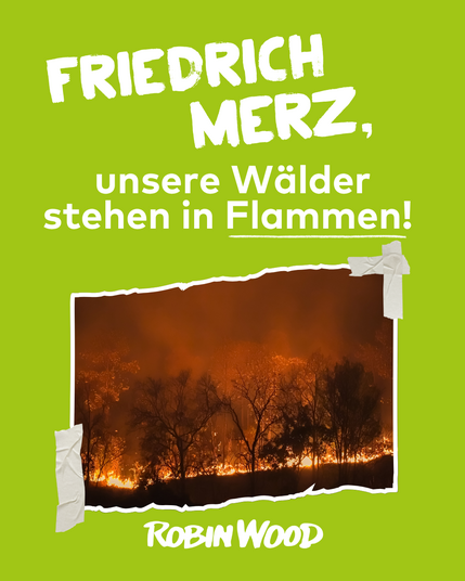Grüner Hintergrund, weiße Schrift: 
